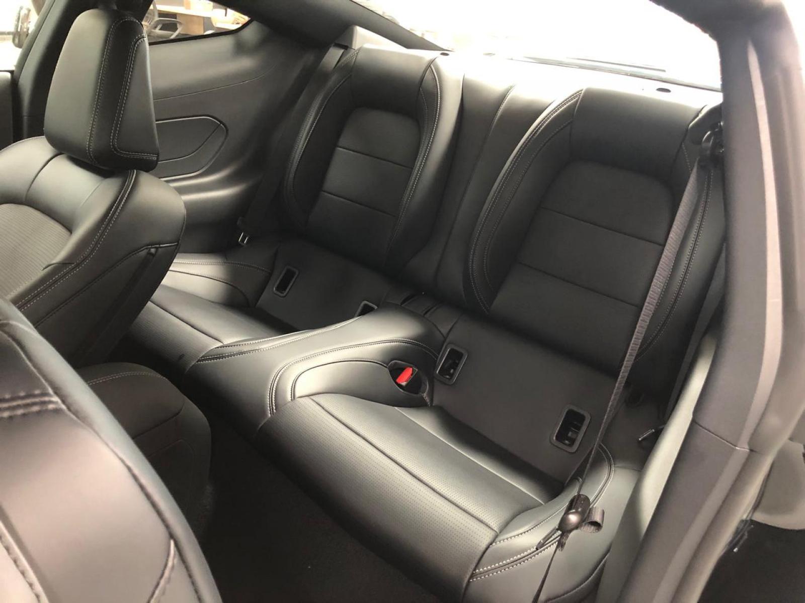 Ford MUSTANG 5.0 V8 GT PERFORMANCE SELECTSHIFT - foto 13