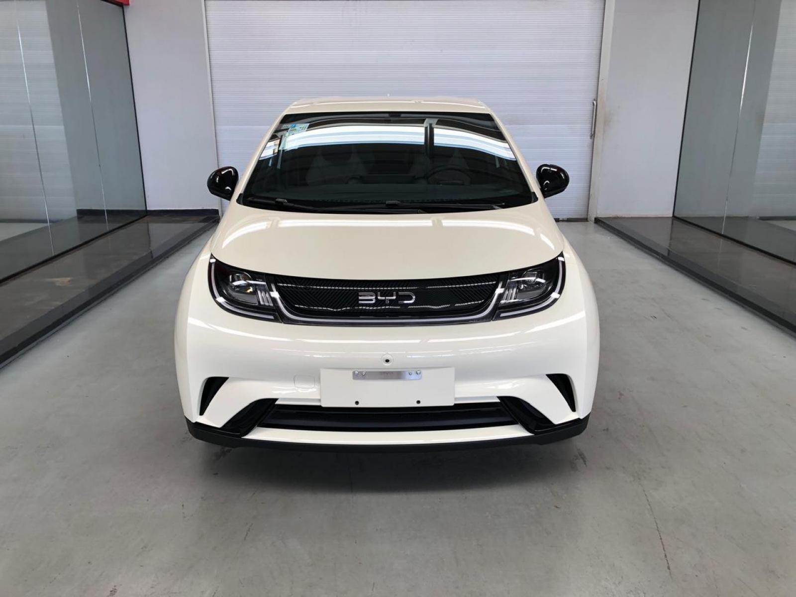 BYD DOLPHIN GS 180 EV - foto 3