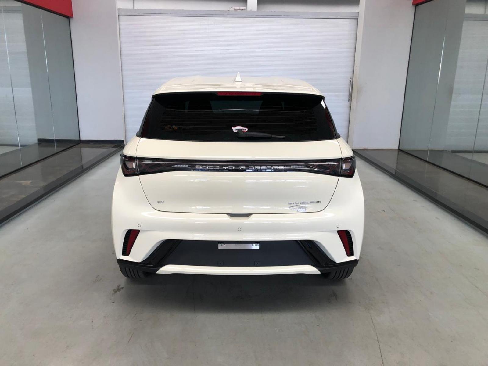 BYD DOLPHIN GS 180 EV - foto 6