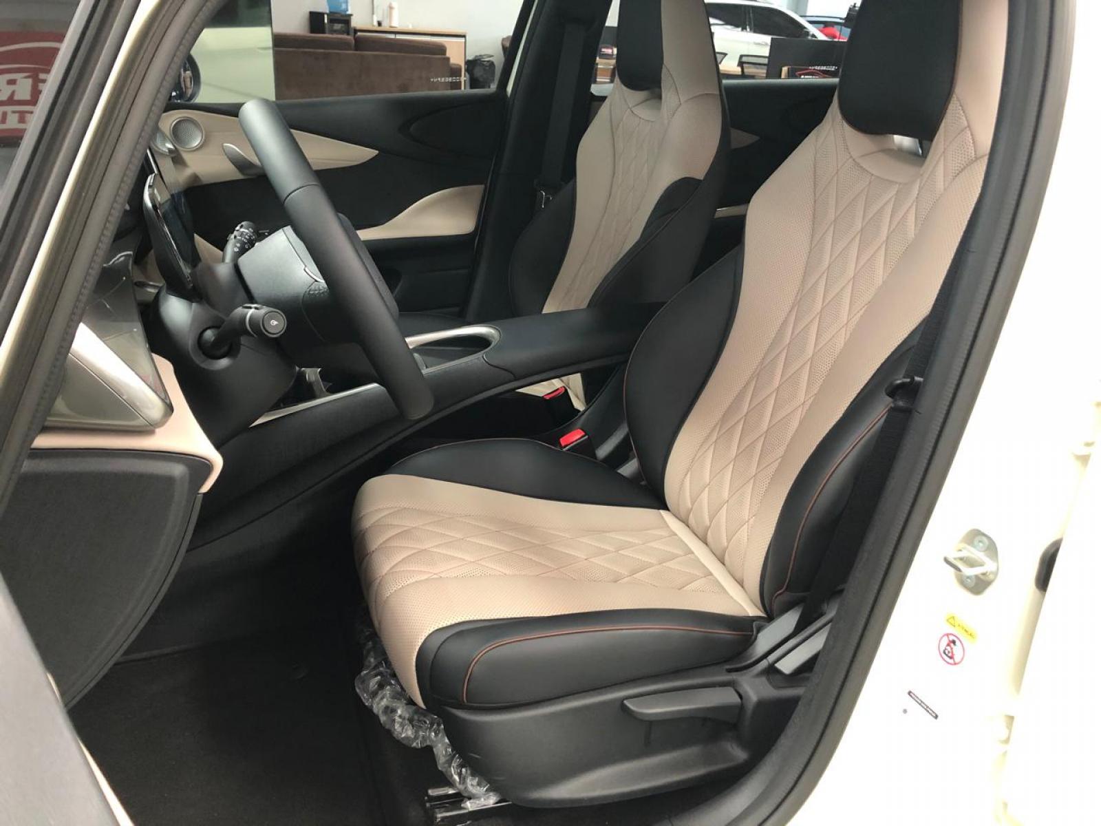 BYD DOLPHIN GS 180 EV - foto 9