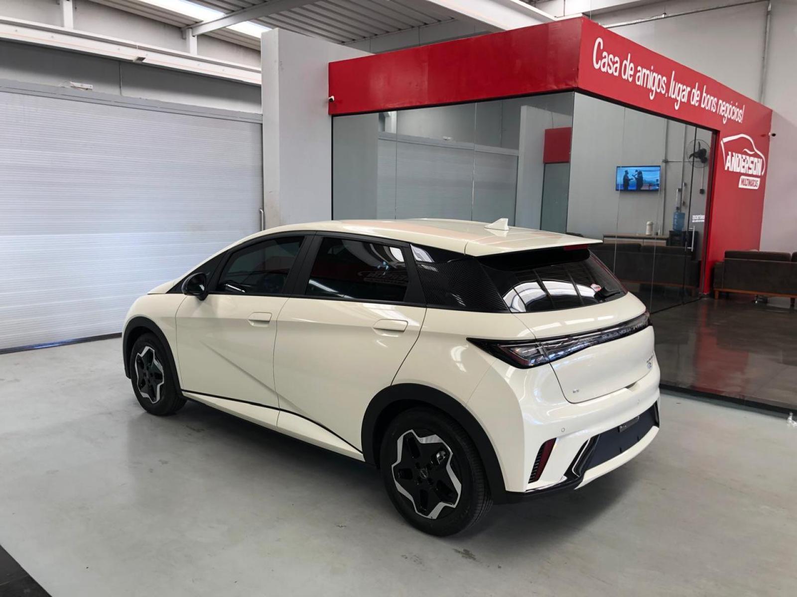 BYD DOLPHIN GS 180 EV - foto 5