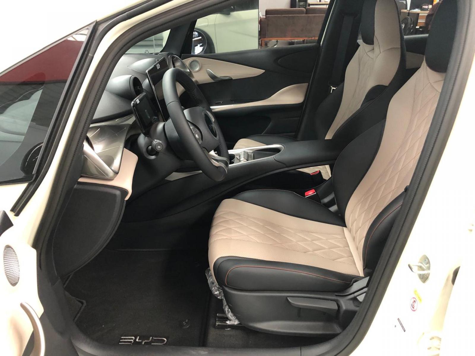 BYD DOLPHIN GS 180 EV - foto 8